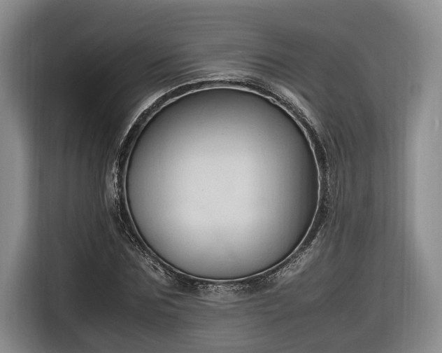 X0000116680875200912211622