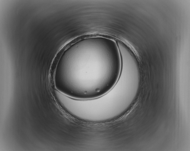 X0000116680876200912211622