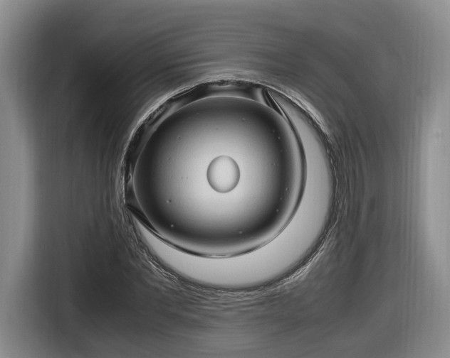 X0000116680877200912211622