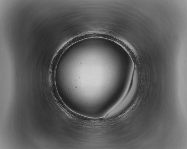 X0000116680878200912211622