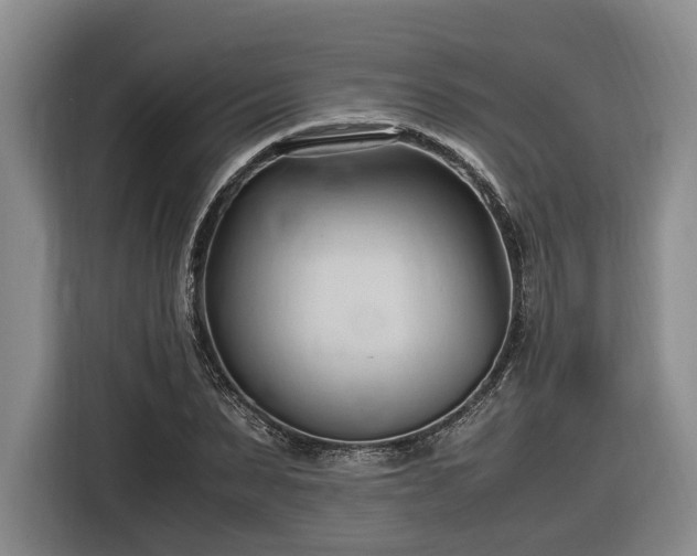 X0000116680879200912211622