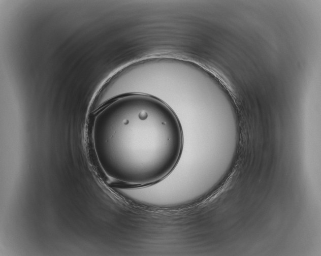 X0000116680880200912211621