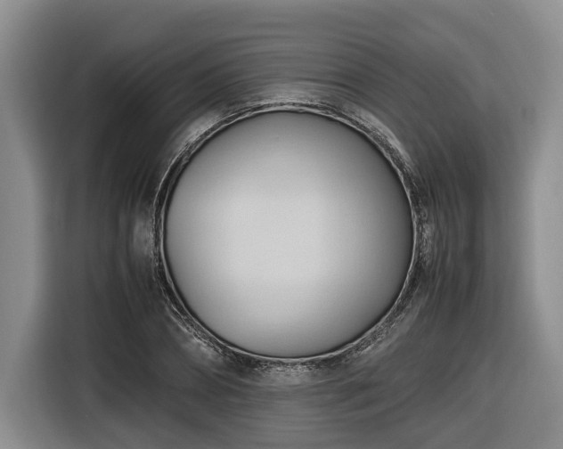 X0000116680882200912211621