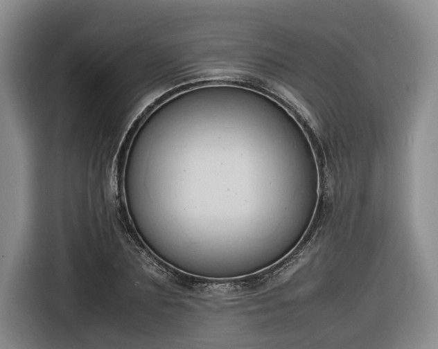 X0000116680883200912211621