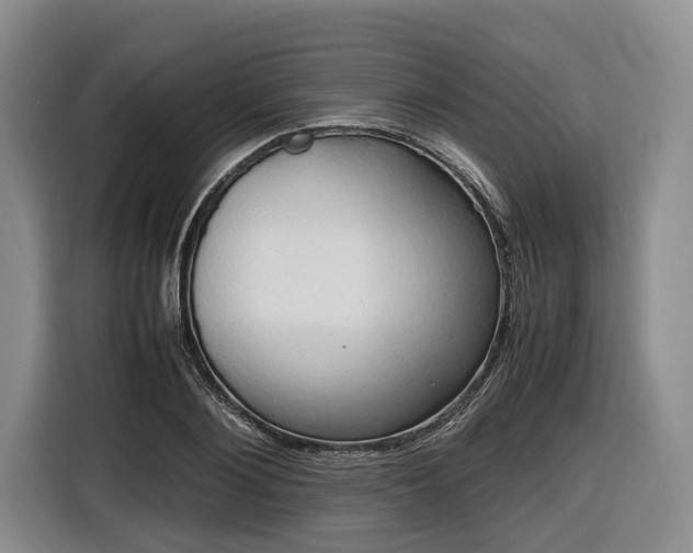 X0000116680884200912211621