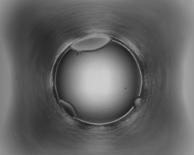 X0000116680885200912211621