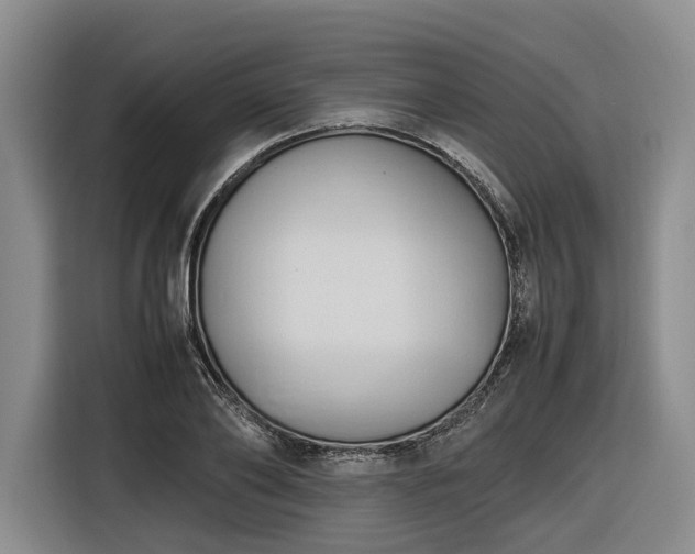 X0000116680886200912211621