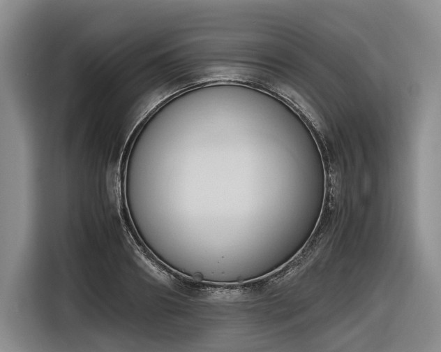 X0000116680890200912211621