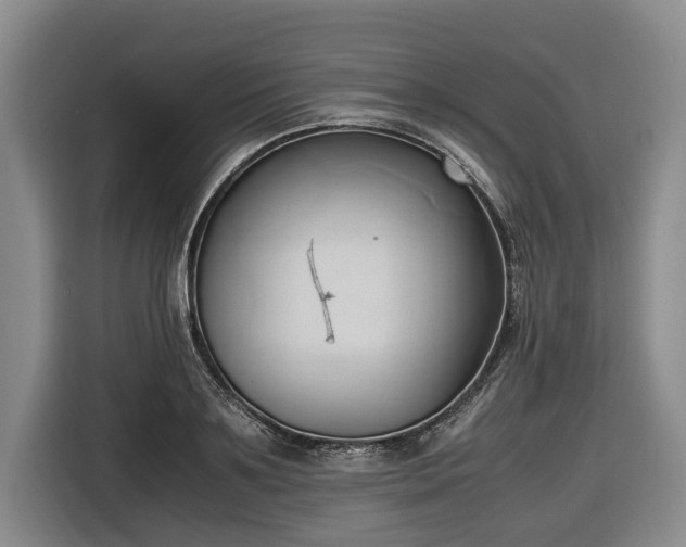 X0000116680891200912211621