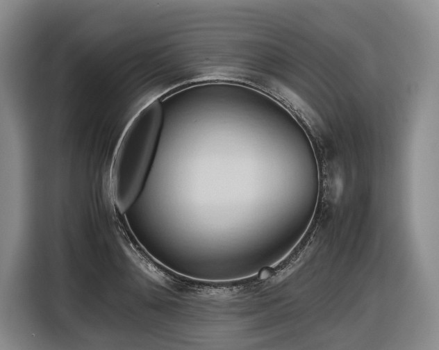 X0000116680892200912211621