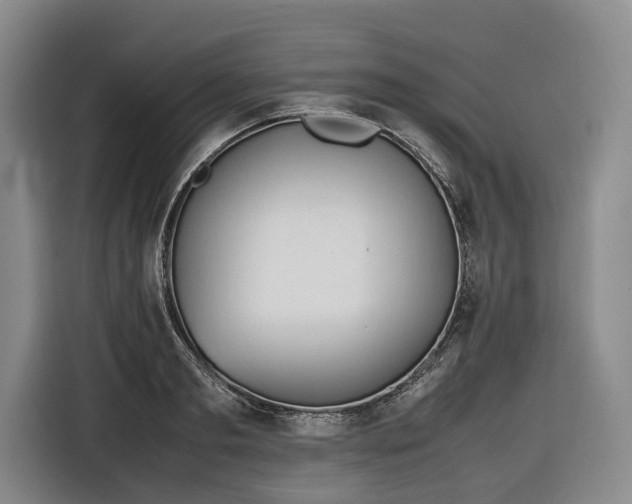 X0000116680893200912211621