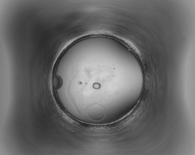 X0000116680895200912211621