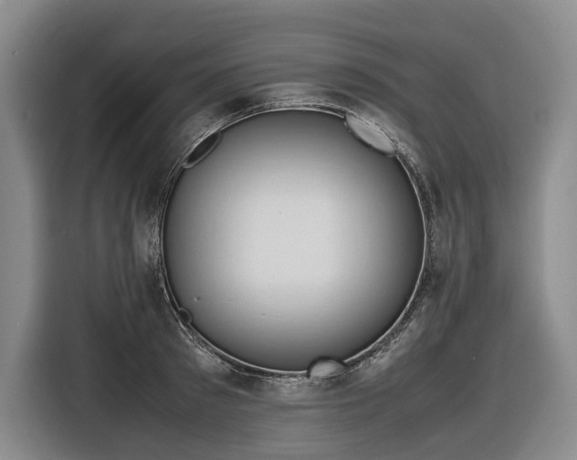 X0000116680897200912211621