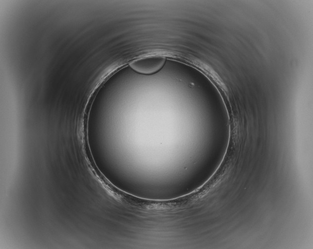 X0000116680898200912211621