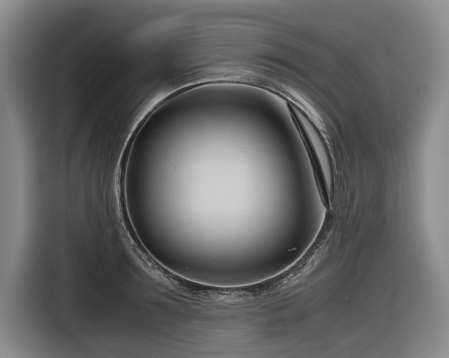 X0000116680899200912211621