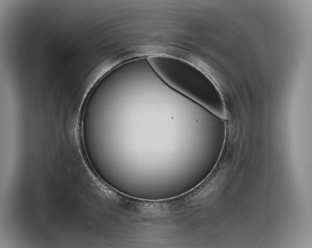 X0000116680901200912211621