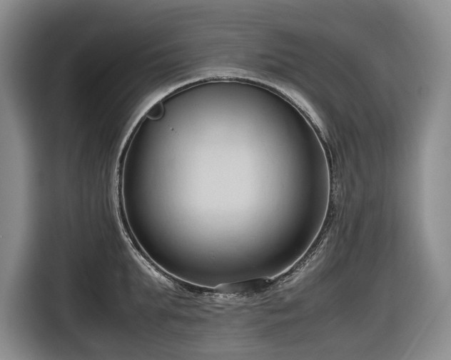 X0000116680903200912211621