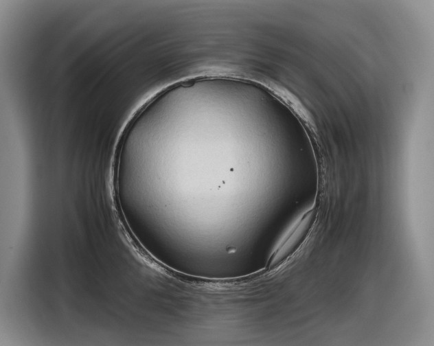 X0000116680904200912211621