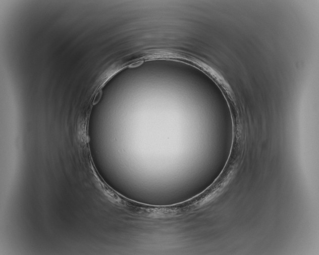 X0000116680905200912211621