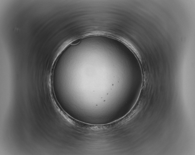 X0000116680906200912211621