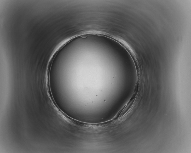 X0000116680910200912211621