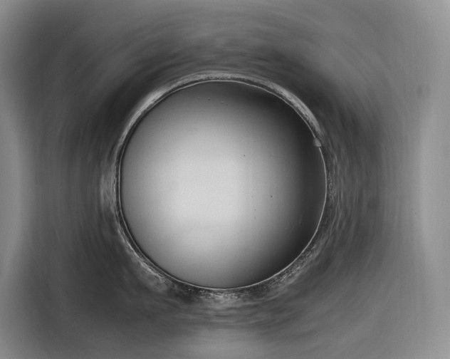 X0000116680911200912211621