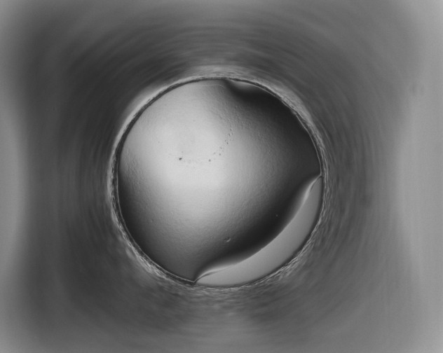 X0000116680912200912211621