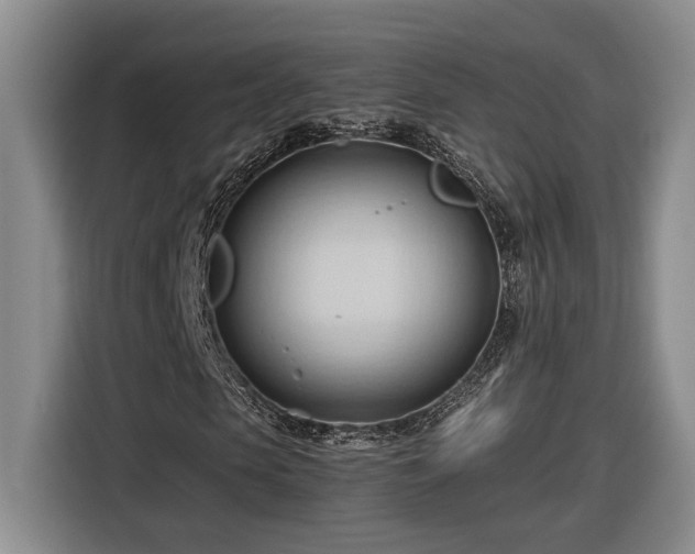 X0000116680913200912211620