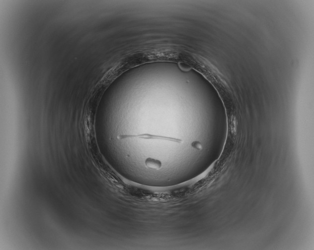 X0000116680915200912211620