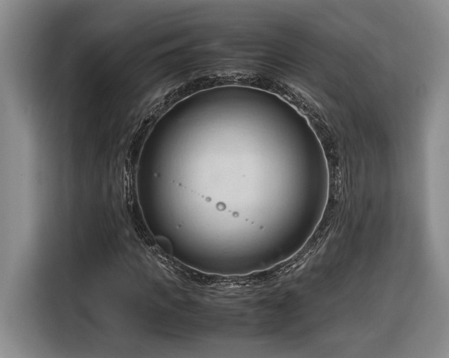 X0000116680917200912211621