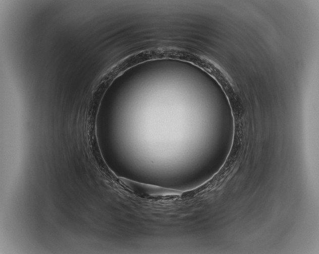 X0000116680919200912211621