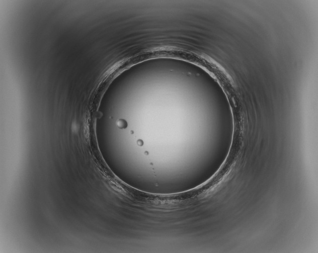 X0000116680921200912211621