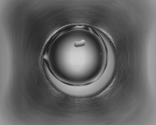 X0000116680925200912211621