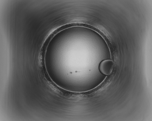 X0000116680926200912211621