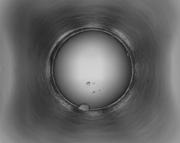 X0000116680931200912211621