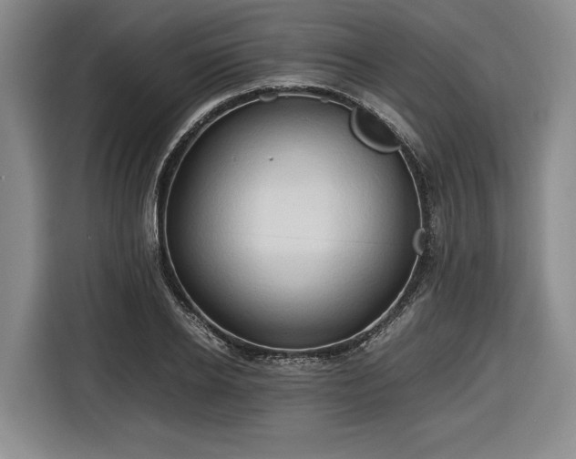 X0000116680934200912211621