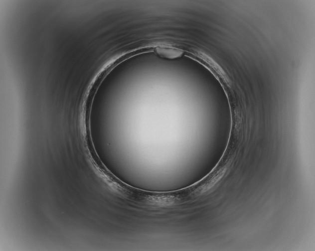 X0000116680939200912211621