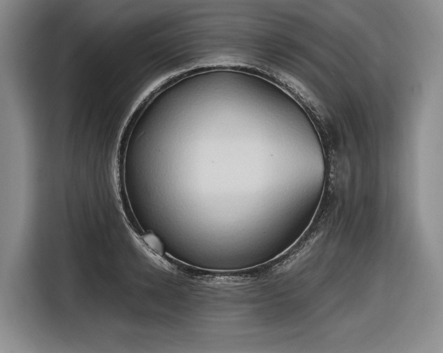 X0000116680942200912211621