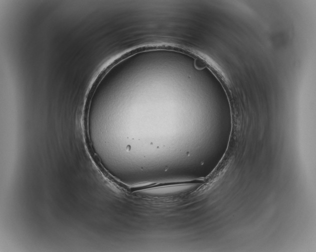 X0000116680943200912211621