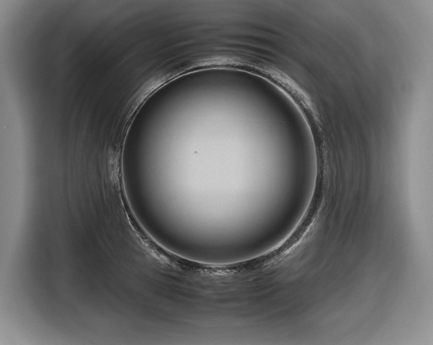 X0000116680945200912211621