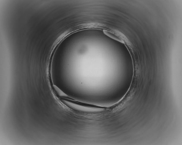 X0000116680946200912211621