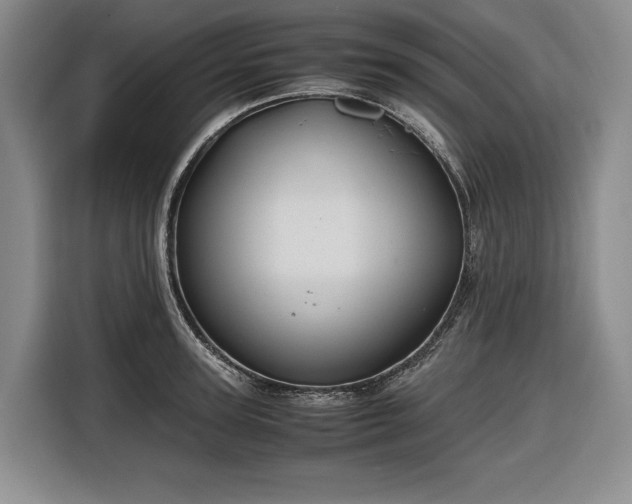 X0000116680947200912211621