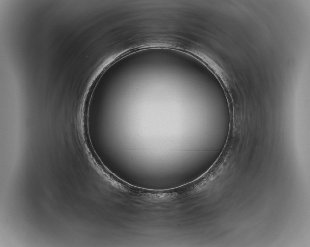 X0000116680949200912211621