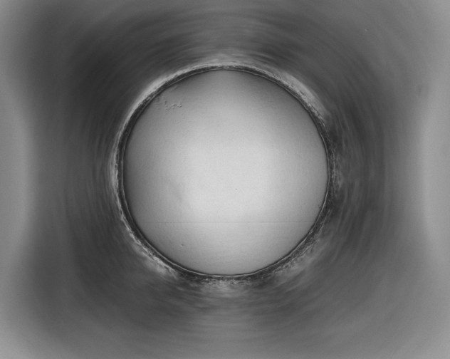 X0000116680950200912211621