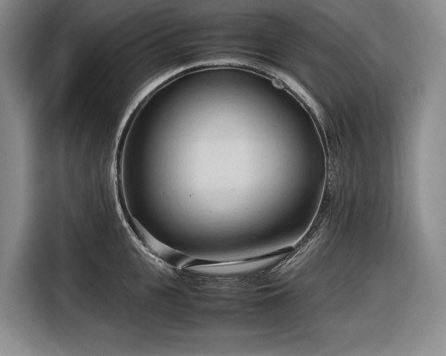 X0000116680951200912211621