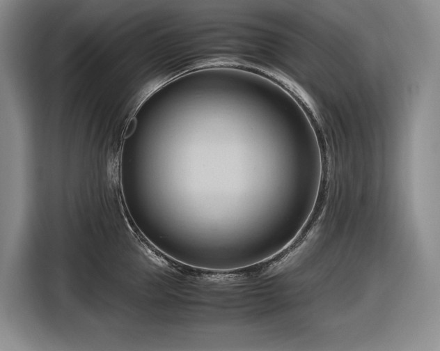 X0000116680953200912211621