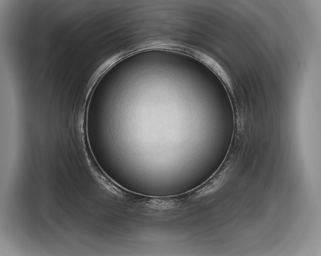 X0000116680954200912211621