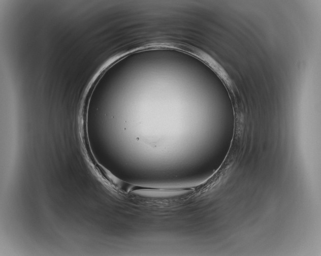 X0000116680955200912211621