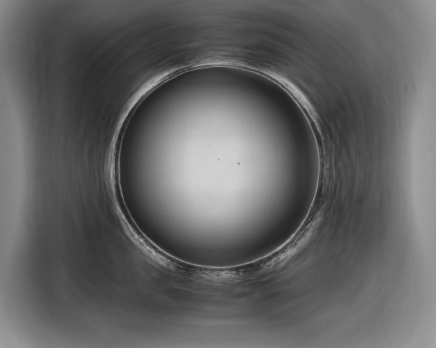 X0000116680957200912211621