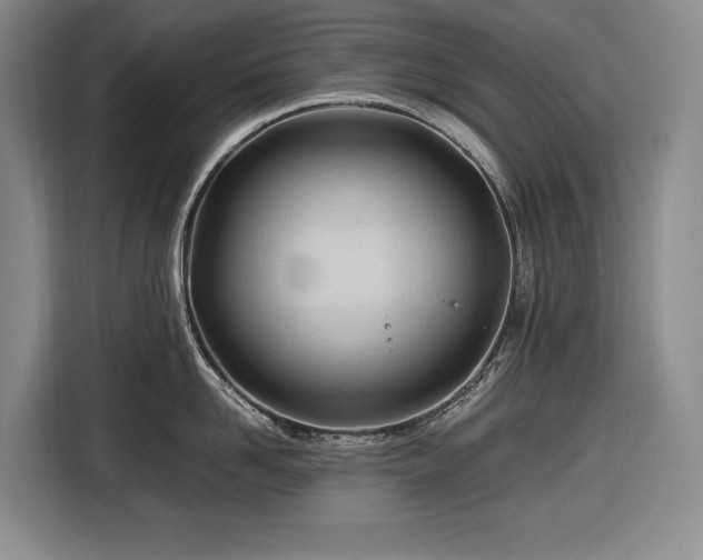 X0000116680958200912211621